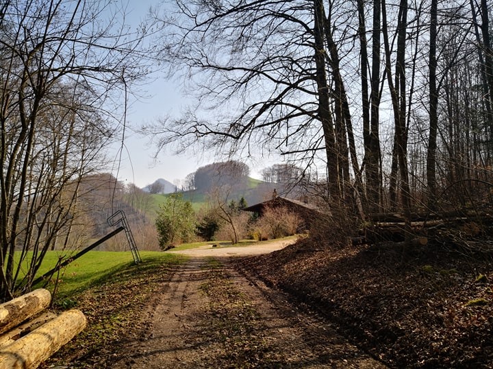 Waldhaus Seppenweid